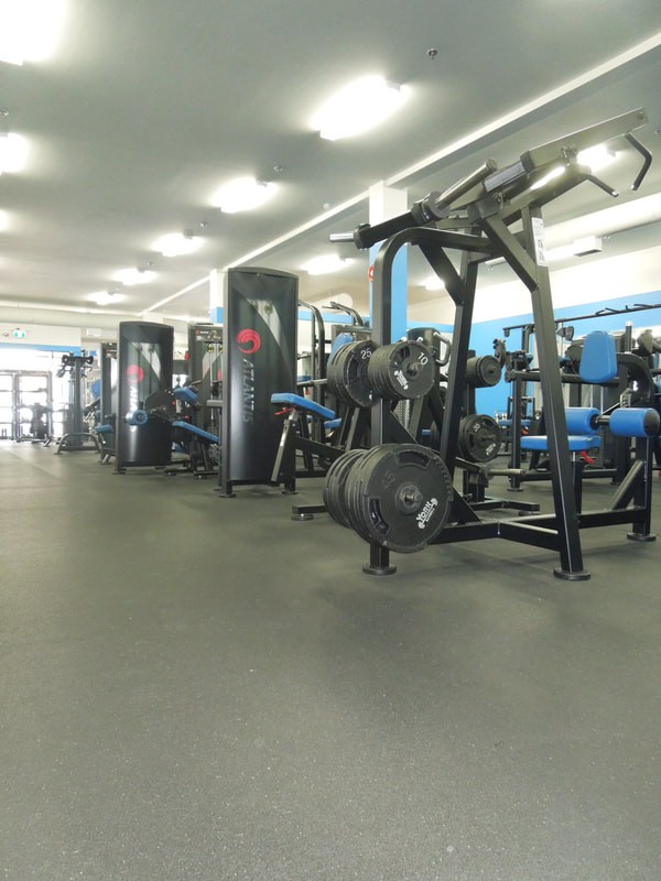 True North Fitness Studio History